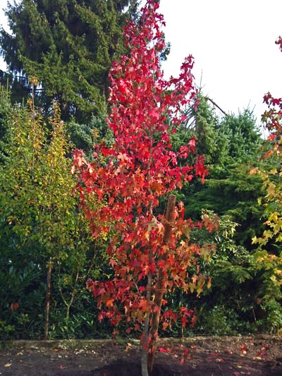 Entdecken Sie mit uns gemeinsam die Schönheit und Vielfalt der